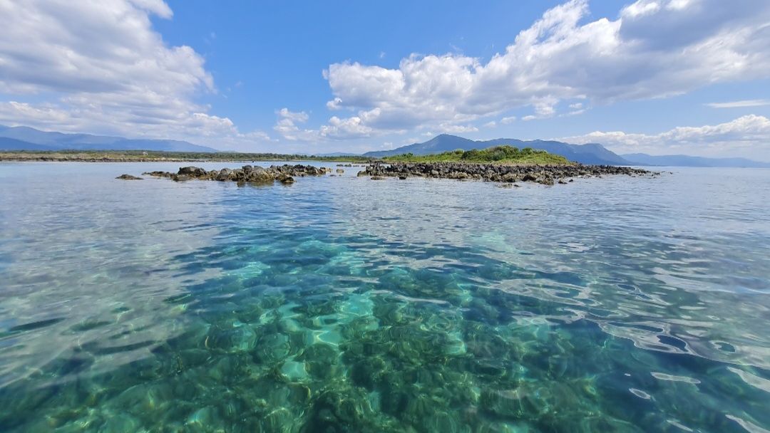 freiwilligenarbeit-griechenland-tierschutz-elli-19