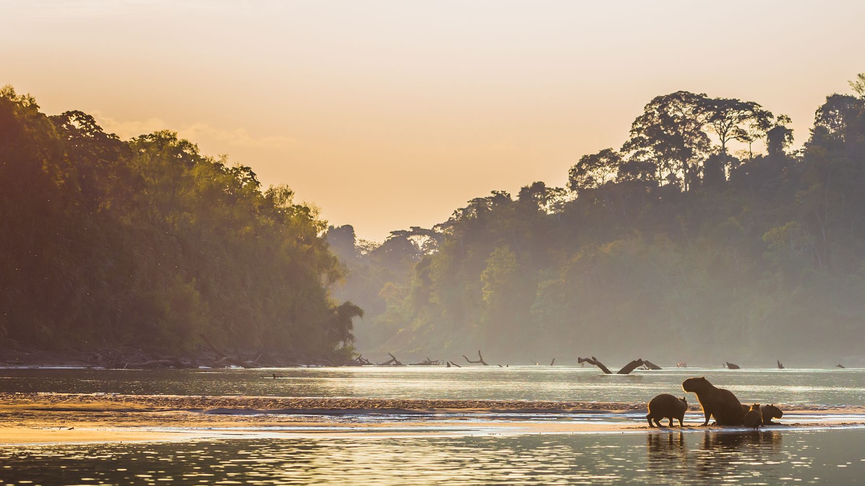 blog-ratgeber-peru-amazonas-regenwald-fluss-boot-natucate