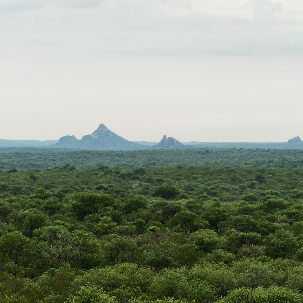 erfahrungsberichte-rangerkurse-suedafrika-field-guide-level-1-niklas-weiter-ausblick-natucate