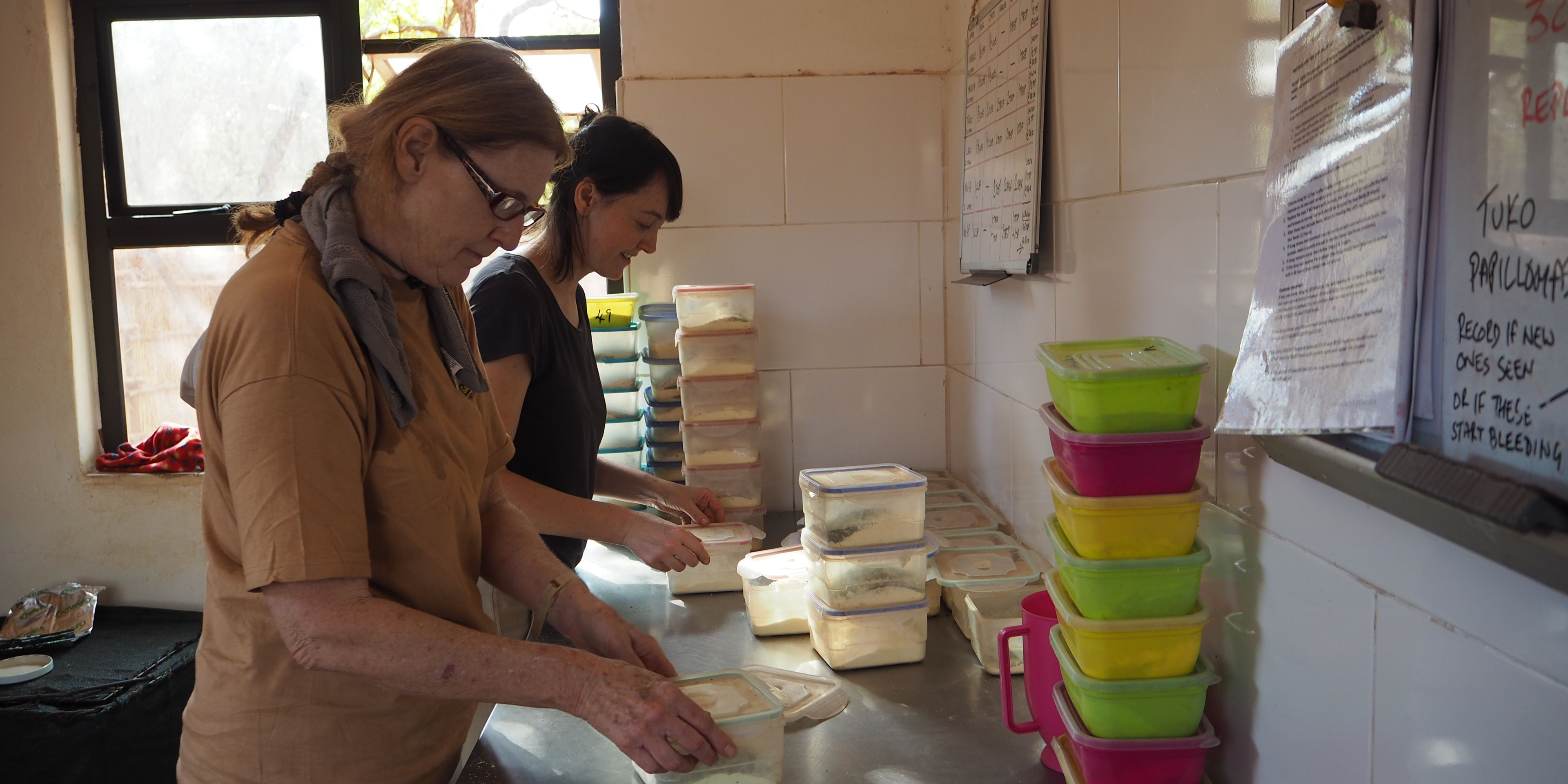 freiwilligenarbeit-sambia-artenschutz-volunteers-arbeit-natucate