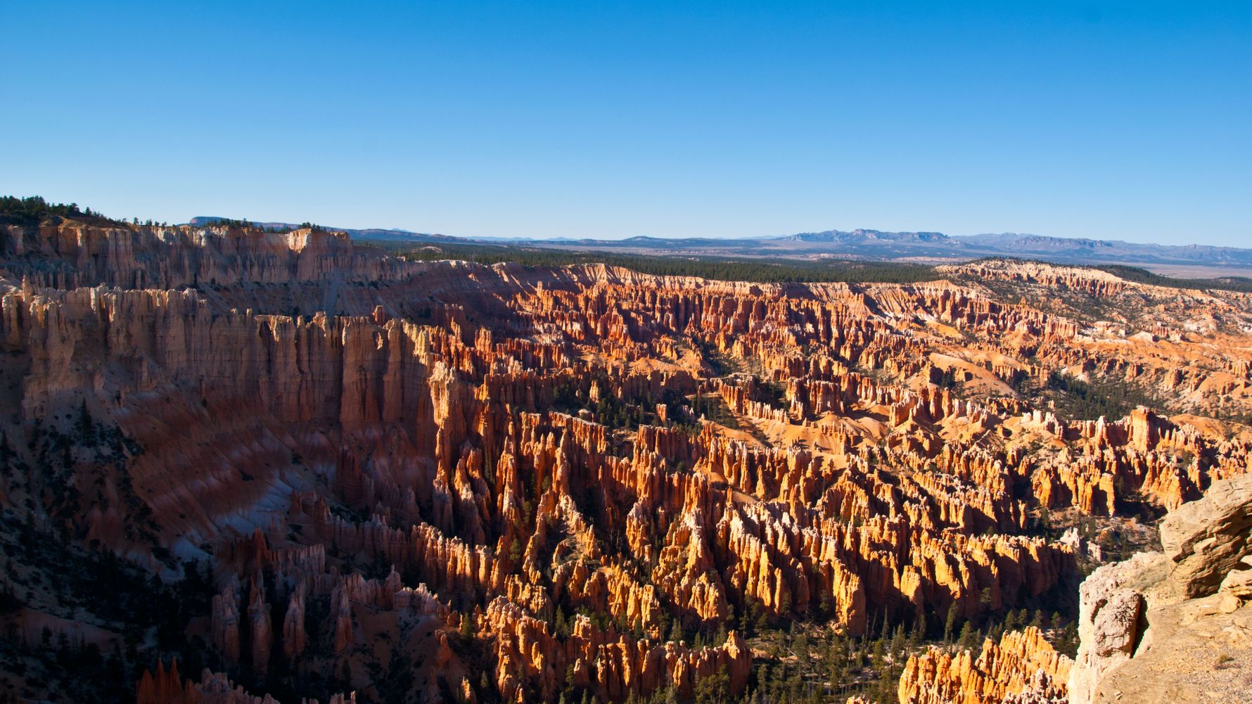 Freiwilligendienst USA: Leiste am Bryce Canyon und in anderen Nationalparks Freiwilligenarbeit als Naturschutz-Volunteer