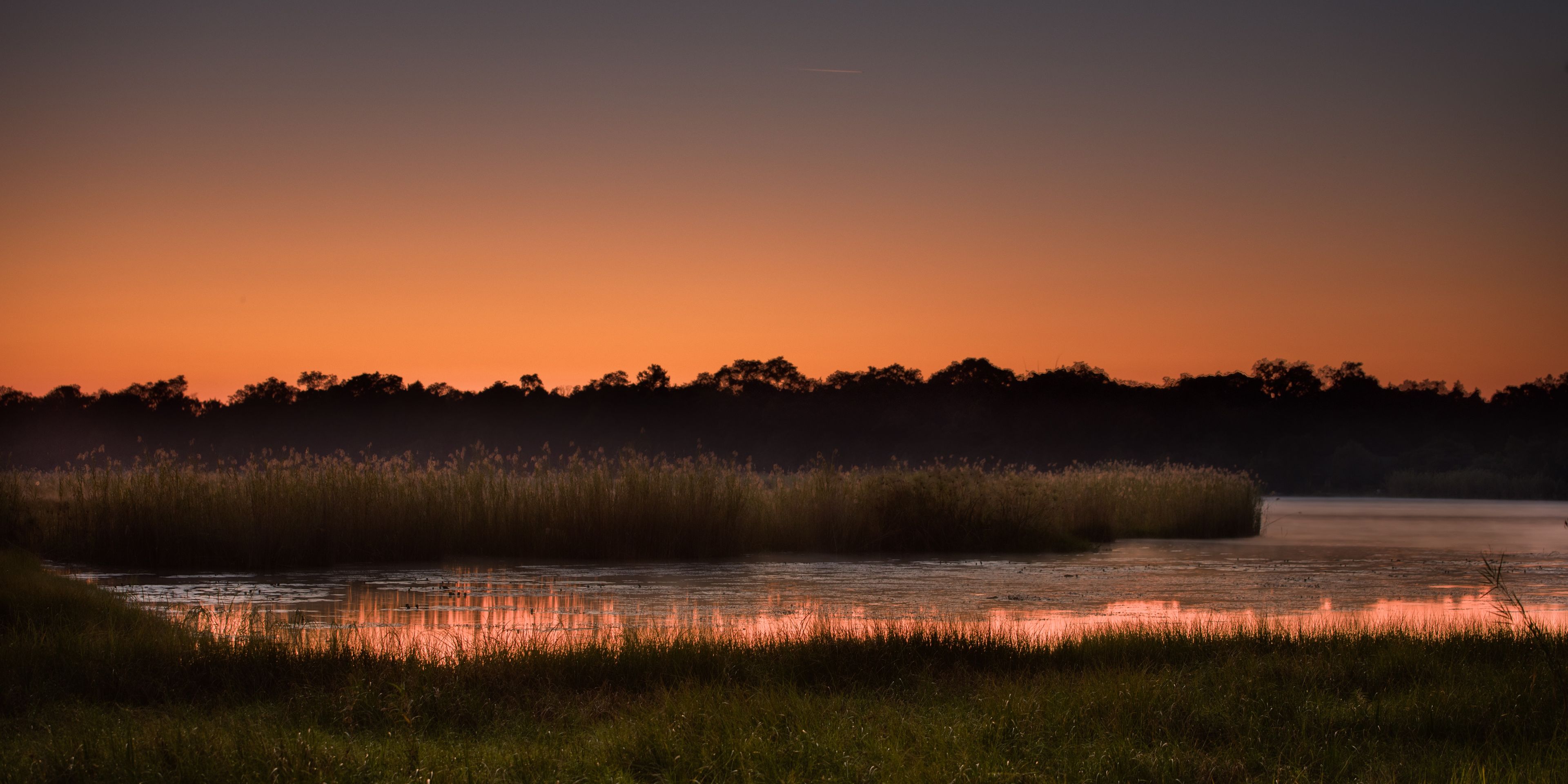safari-botswana-delta-delights-okavango-sunset-nature