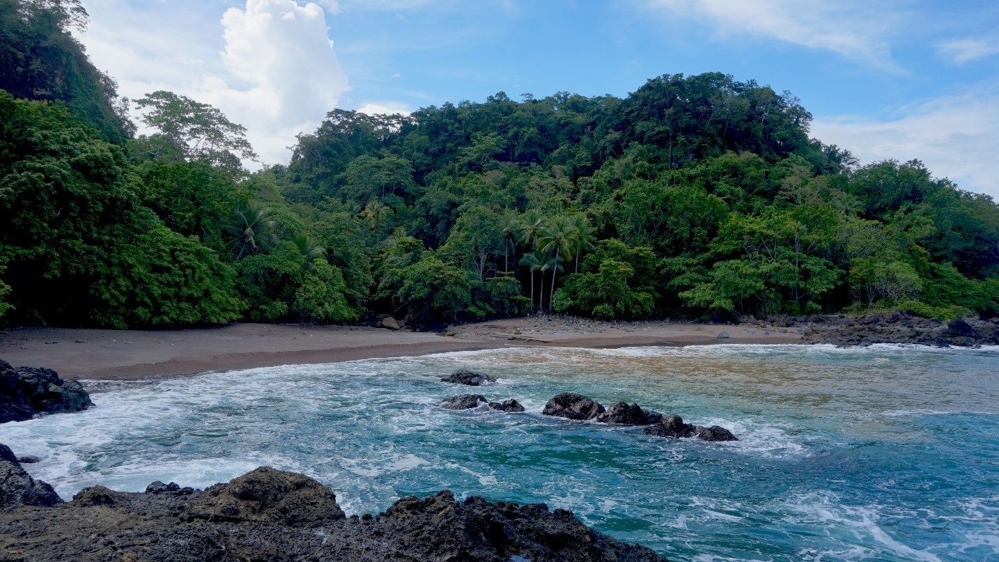 Eine Bucht an der Kueste Costa Ricas mit angrenzendem Regenwald