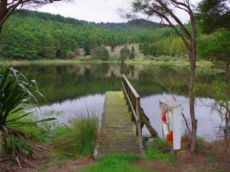 Auslandsaufenthalt in Neuseeland: See mit Steg in der Wildnis