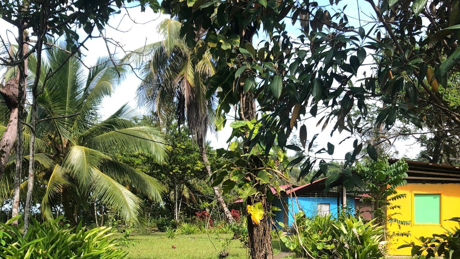 Eine unique Unterkunft mitten im Regenwald