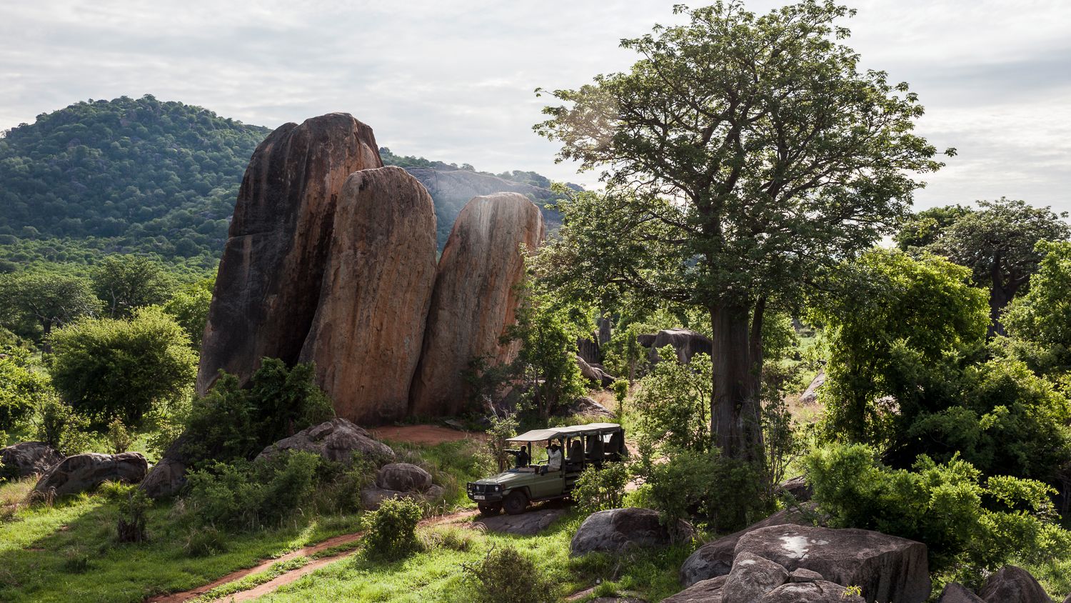 Pirschfahrt in Ruaha