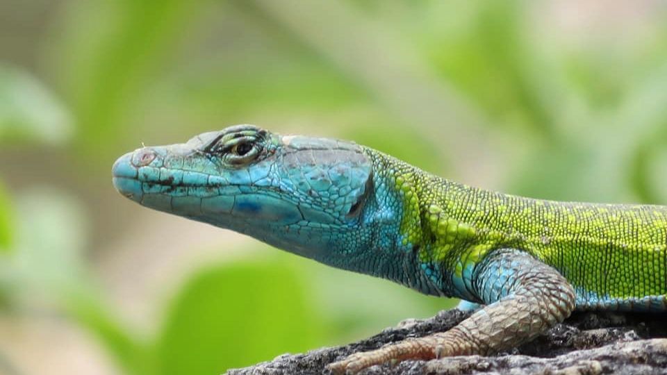 erfahrungsberichte-suedliches-afrika-pfg-rangerausbildung-kundenfotos-natur-natucate