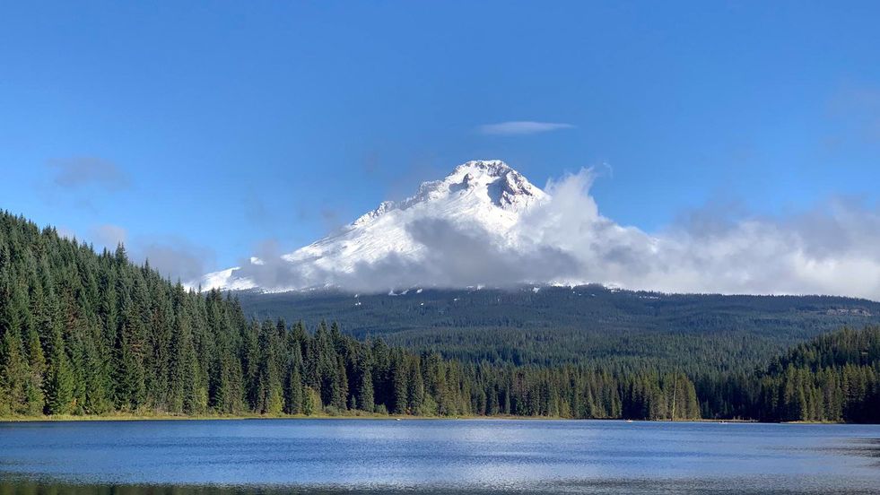 erfahrungsbericht-freiwilligenarbeit-naturschutz-usa-kalifornien-philip-berg-natucate