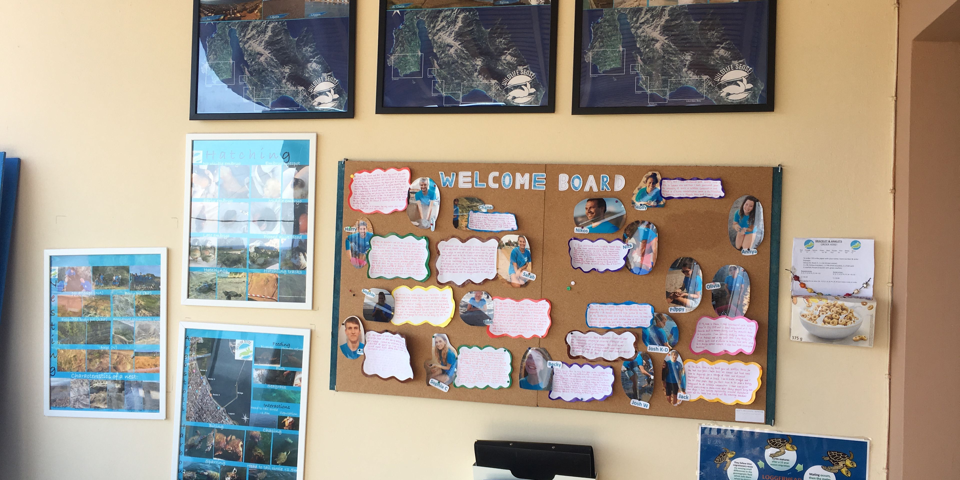 freiwilligendienst-griechenland-kefalonia-unterkunft-welcomd-board