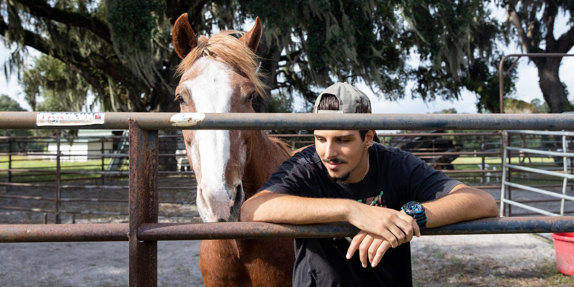 Ein Freiwilliger lehnt sich auf einen Zaun vor einem Pferd