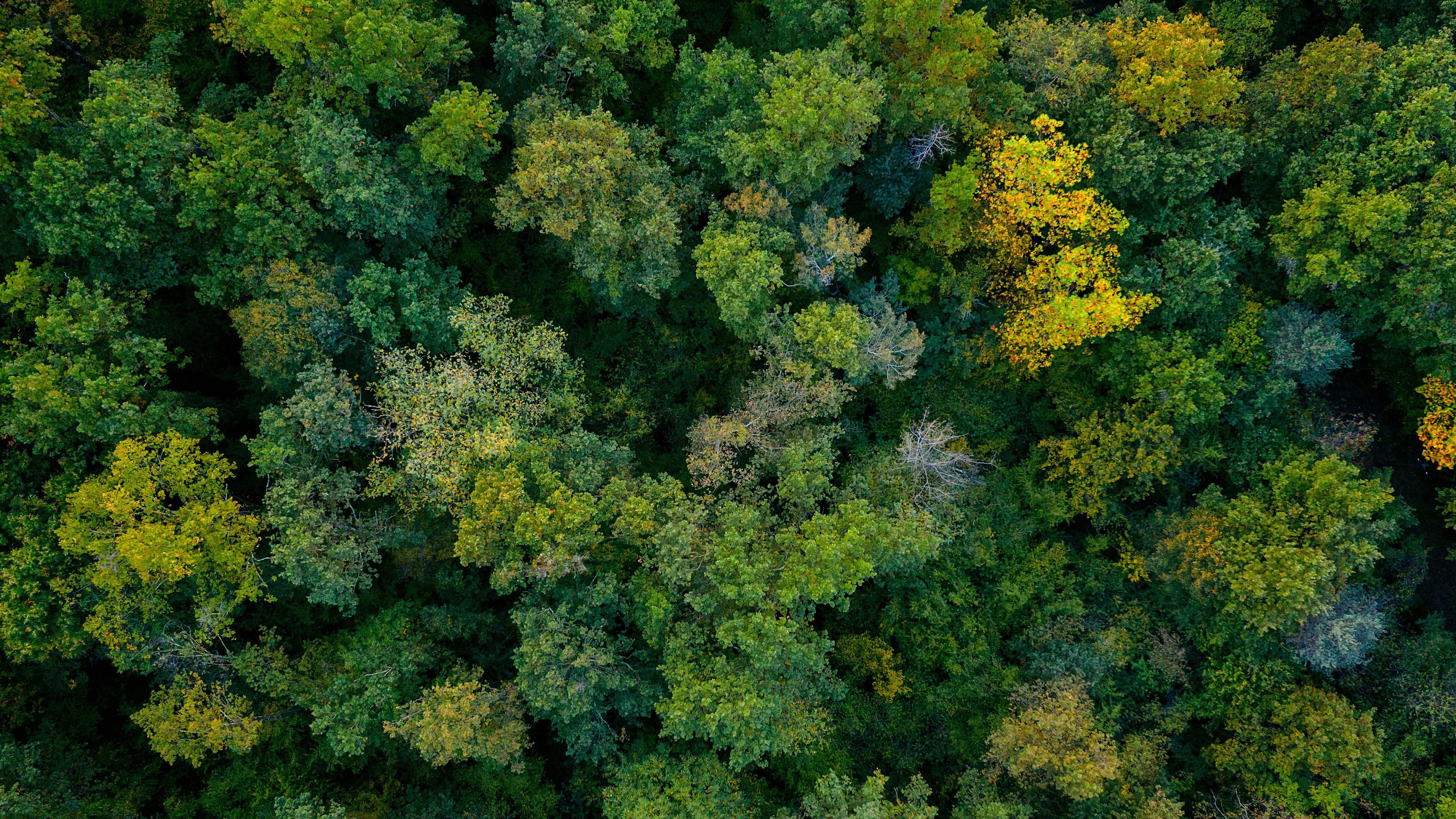 landingpage-naturschutz-freiwilligenarbeit-header