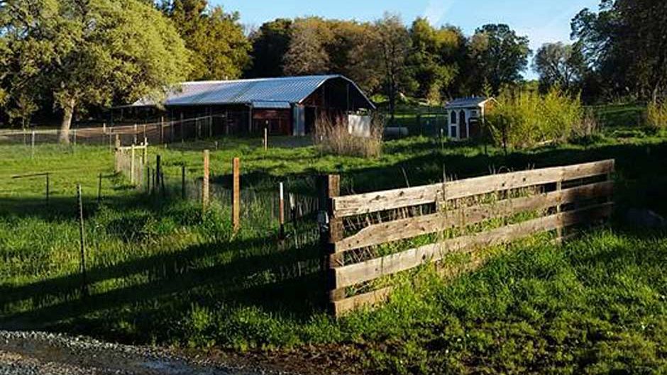 projektbesuch-freiwilligenarbeit-usa-kalifornien-vegan-farm-farm-natucate-on-tour-blog-natucate