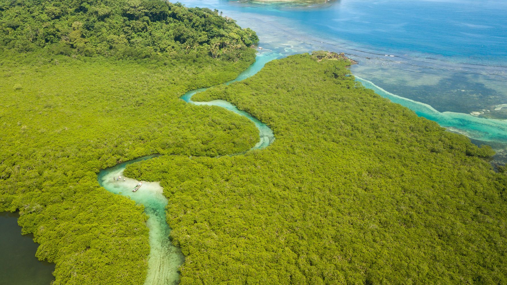 Brasilianischer Regenwald von oben der in das Meer bei Panama mündet