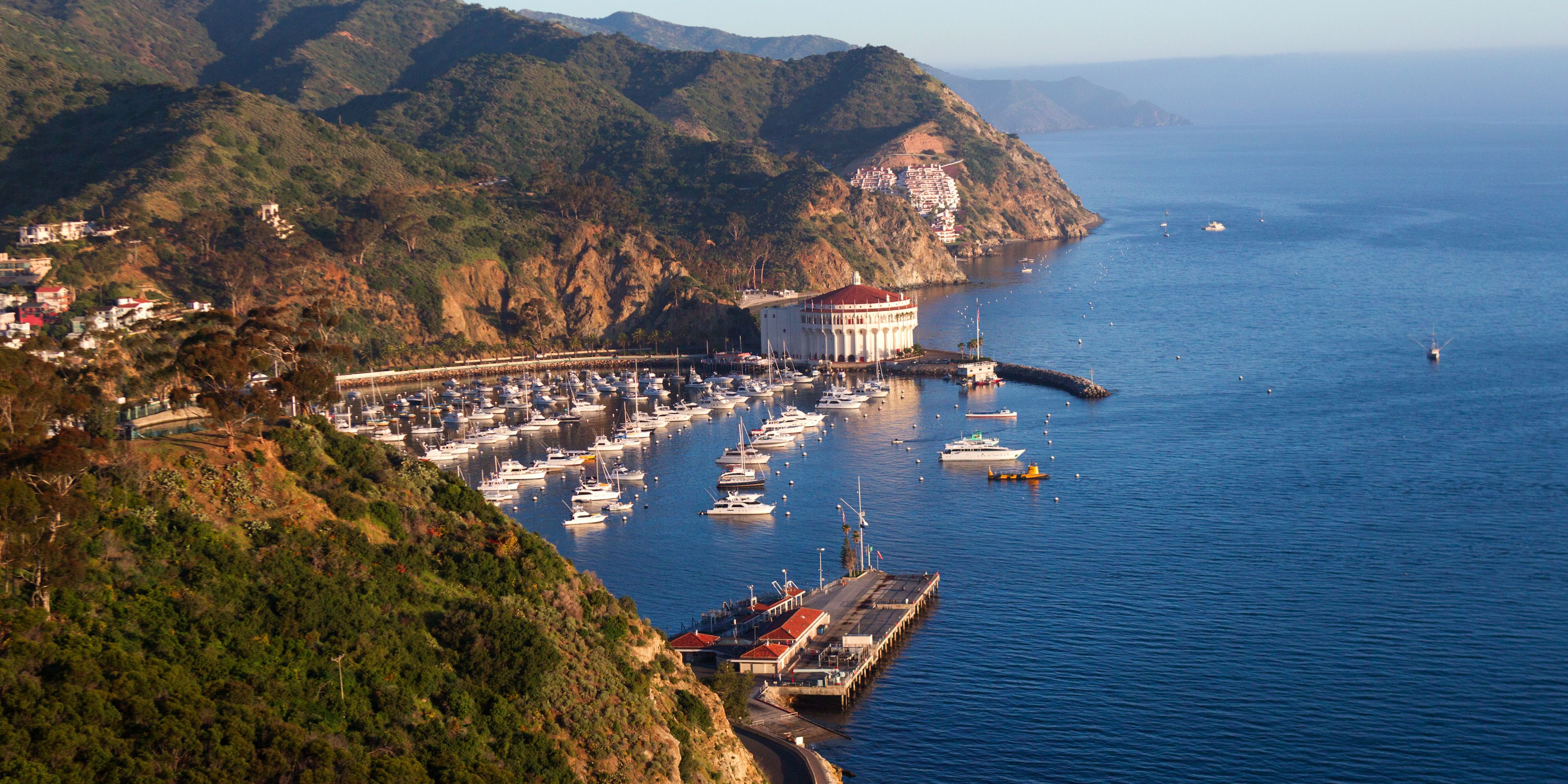 Volunteering in the USA: The sun-covered harbour of Catalina Island's Avalon Bay