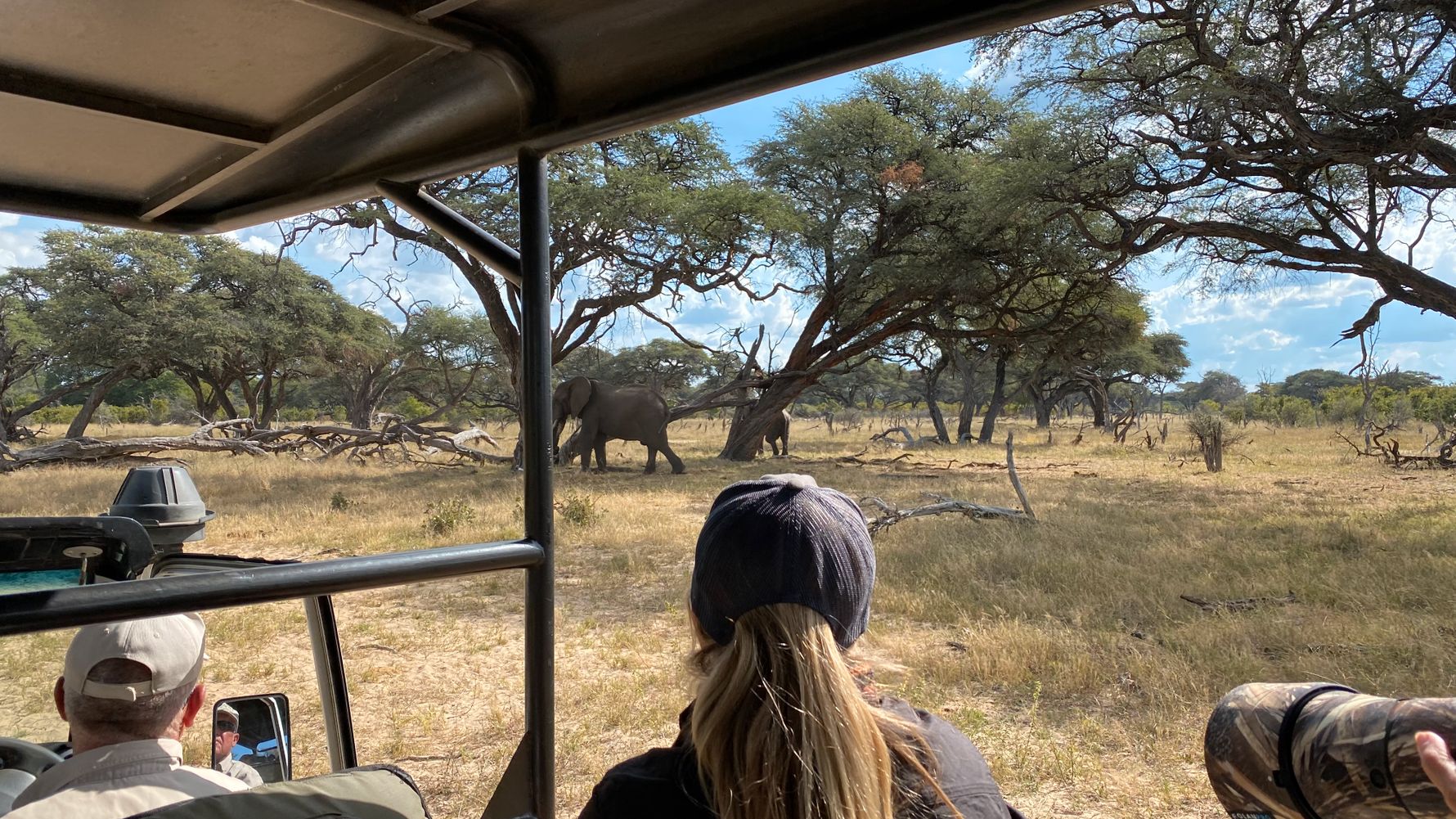 Game Drive Elefanten