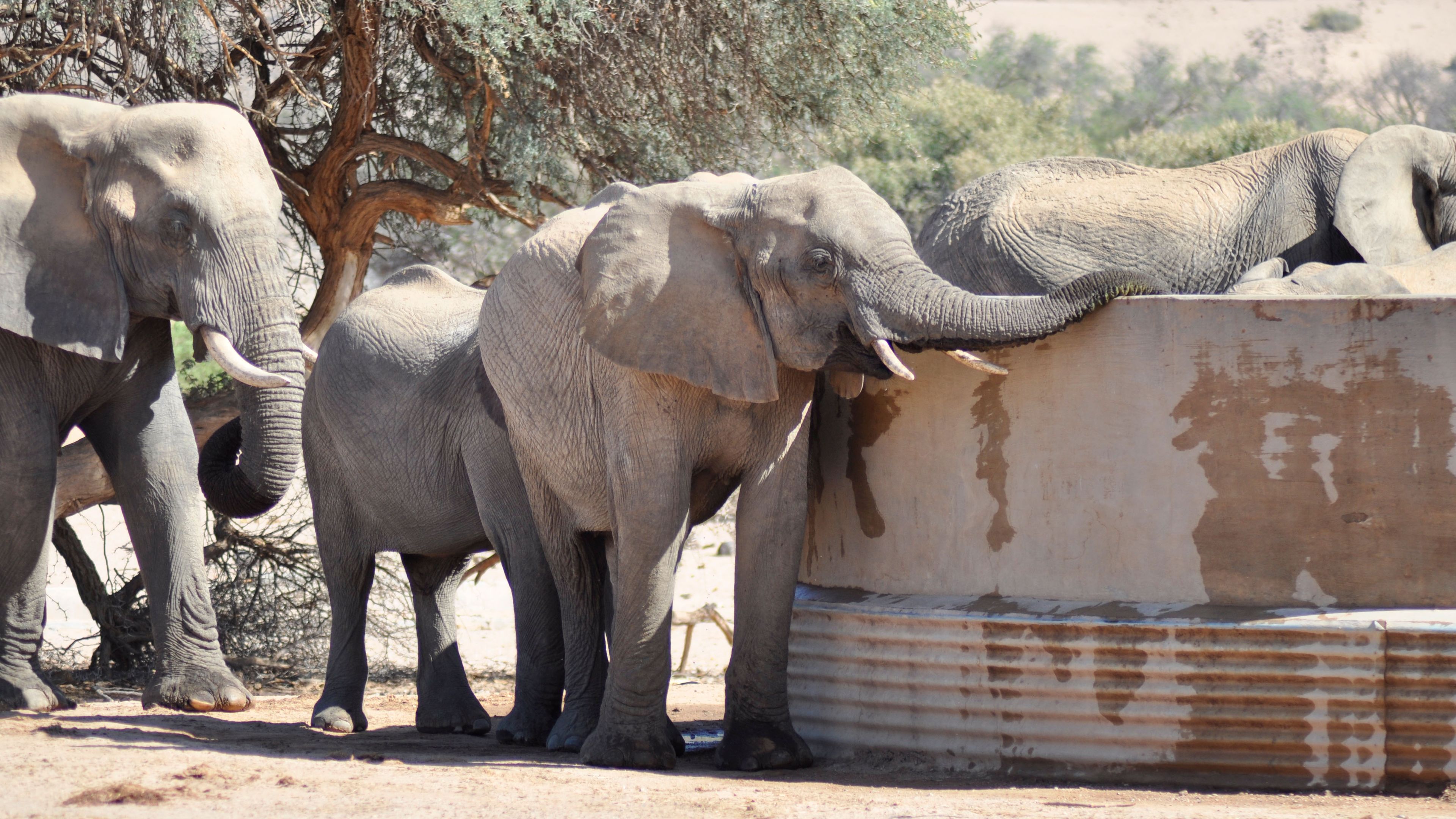freiwilligenarbeit-namibia-elefantenschutz-brunnen-natucate