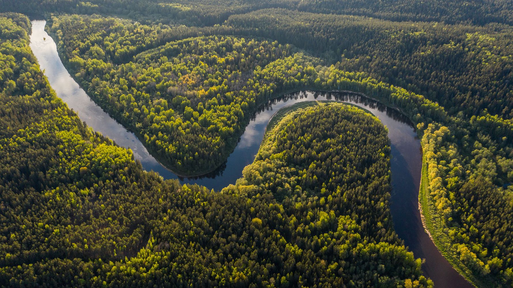 Deforestation and illegal logging threaten the world's forests