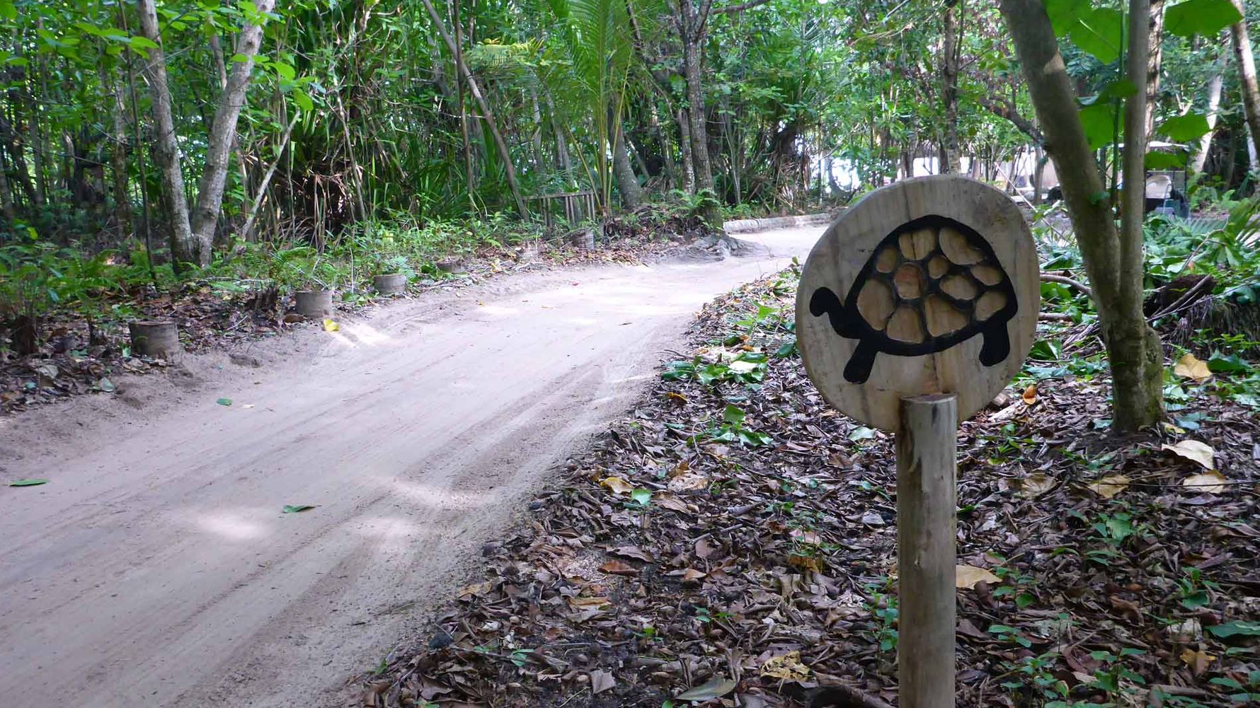 freiwilligenarbeit-seychellen-erfahrungsbericht-artenschutz-kundenfotos-strasse-natucate