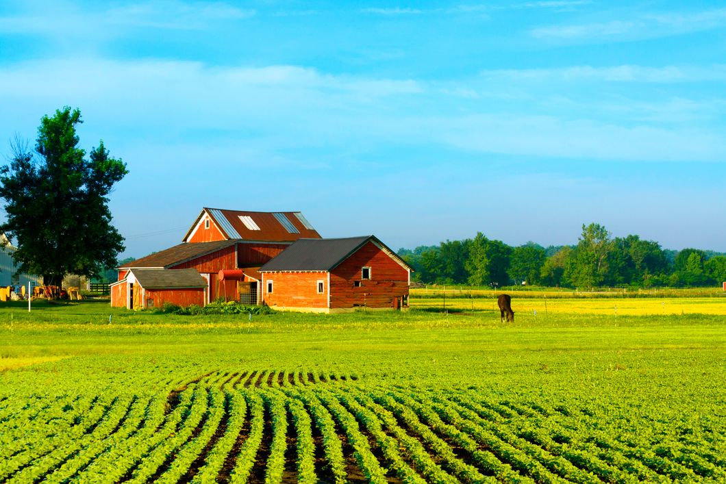 auslandspraktikum-usa-nordamerika-oekologische-landwirtschaft-farm-feld-natucate