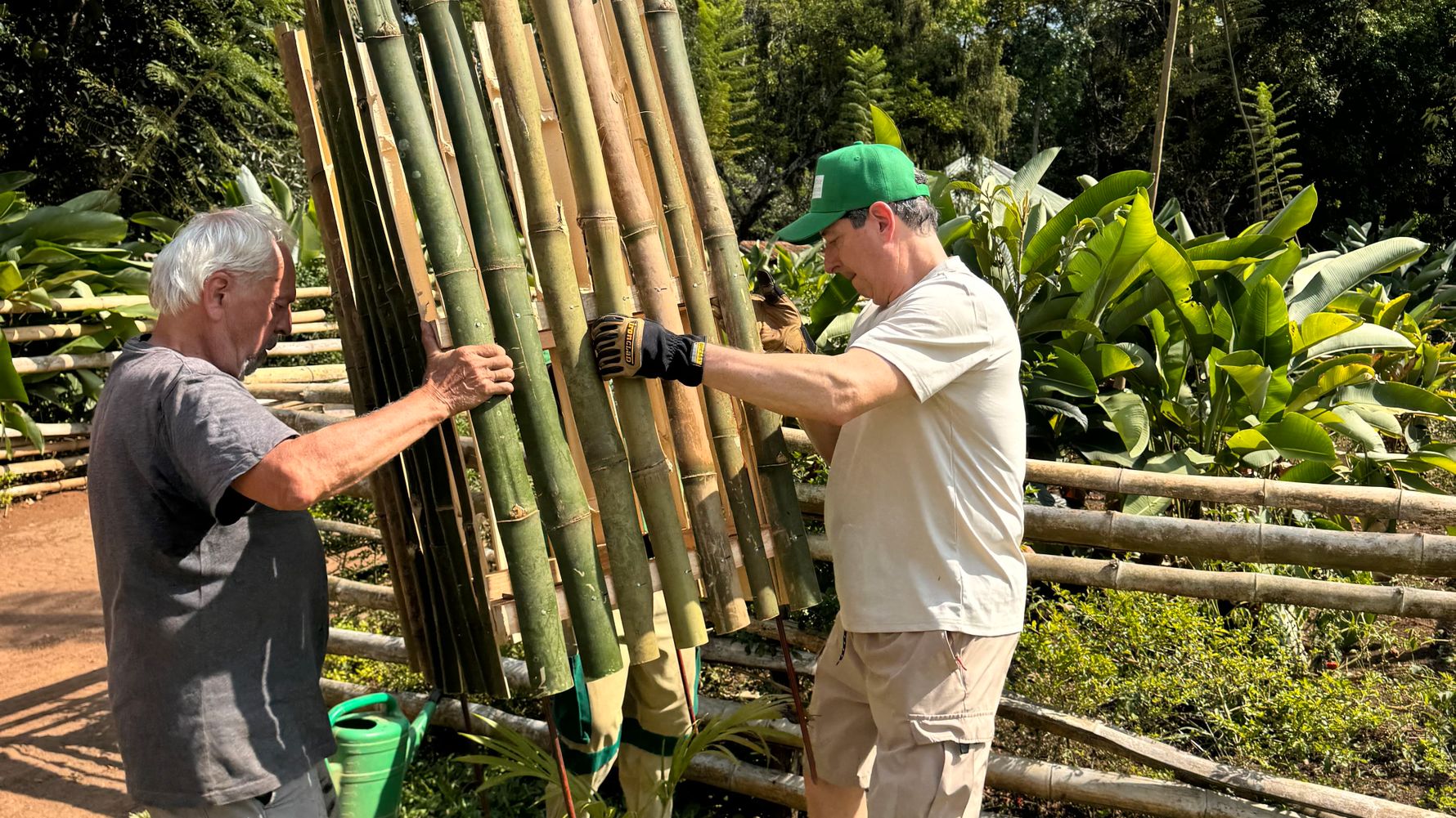 Bamboo fence is being carried