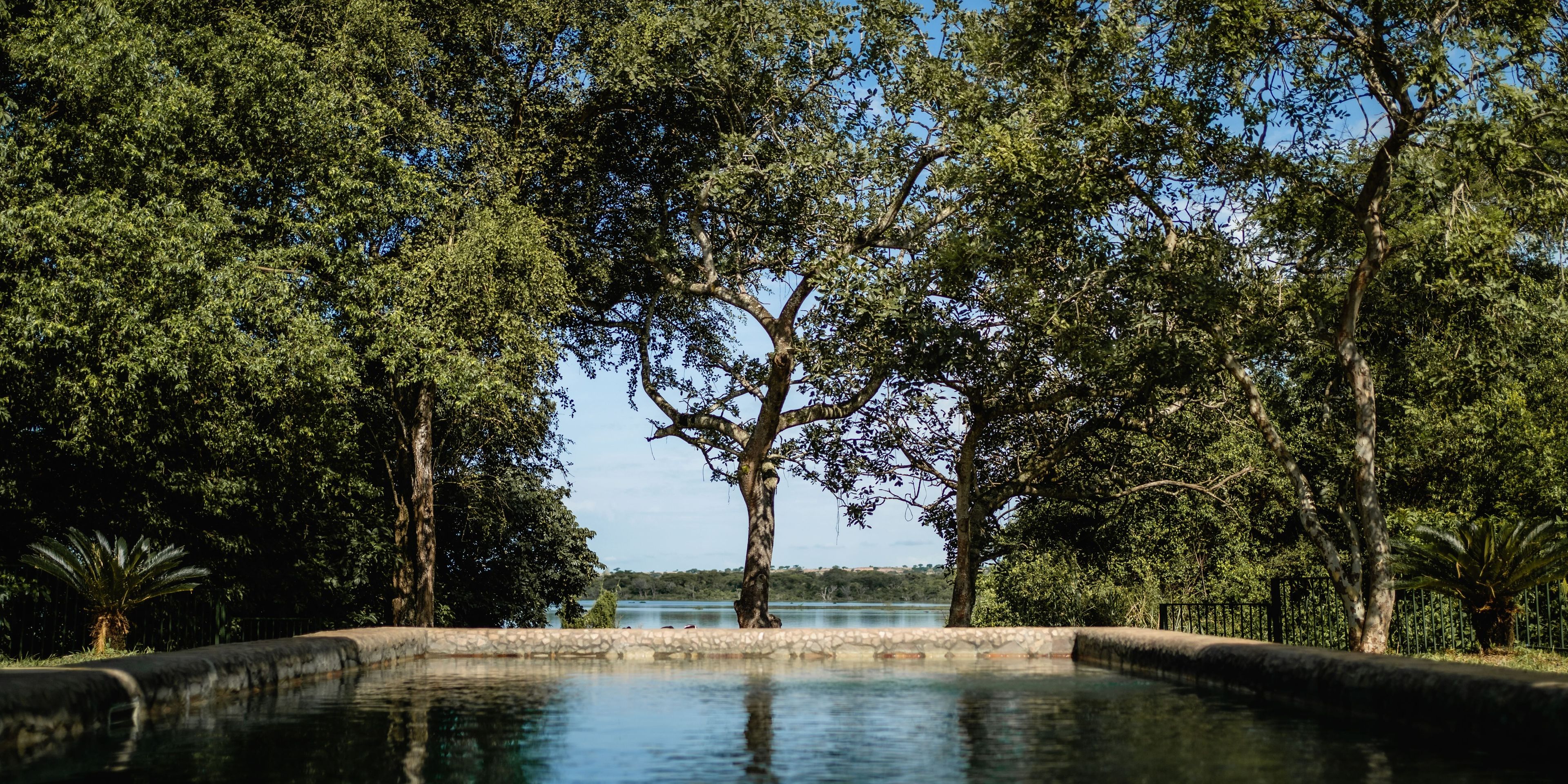 Pool inbetween trees
