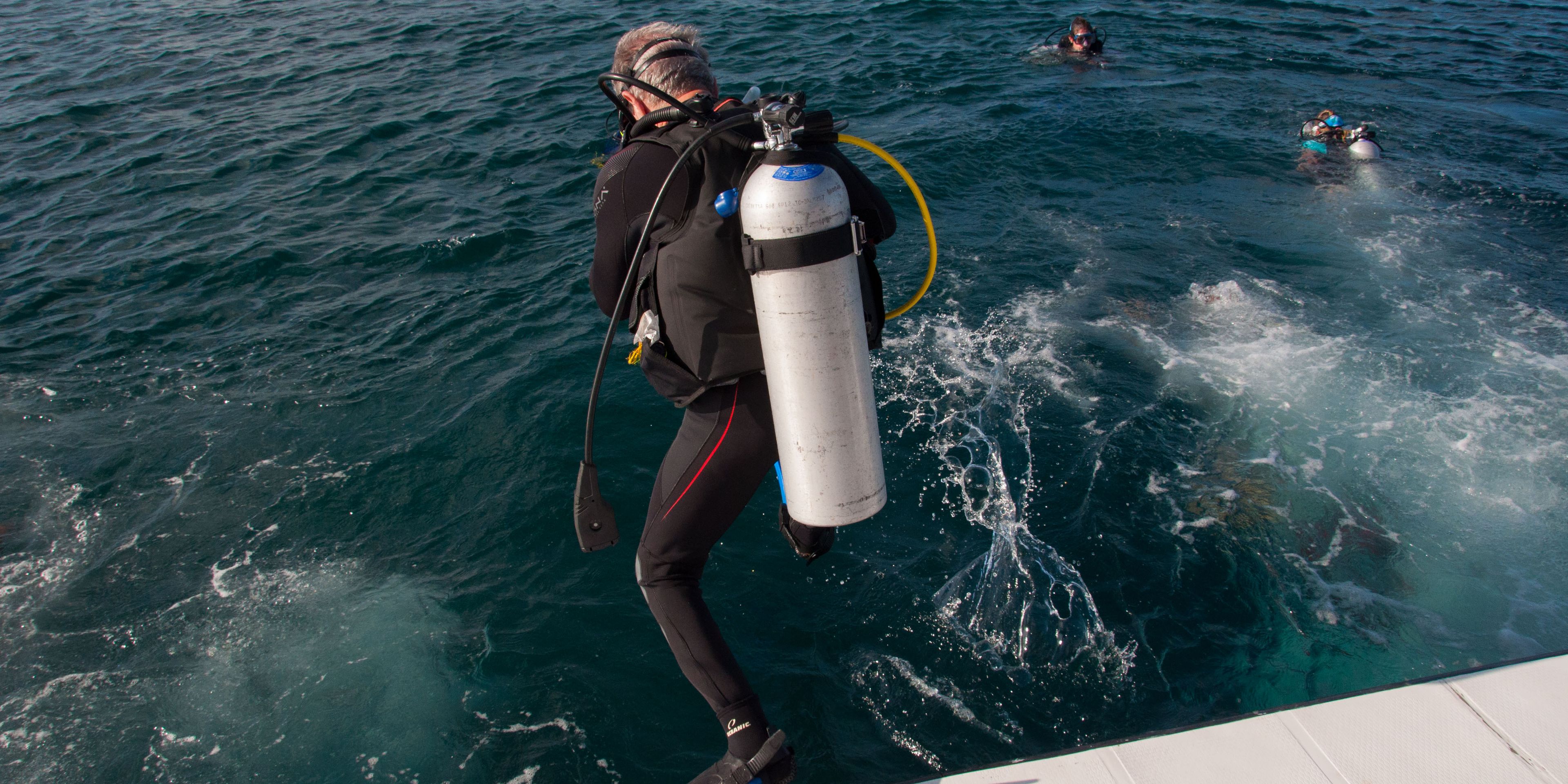 Teilnehmer der Walhai-Expedition auf den Malediven springt vom Foschungsboot ins Meer zum Tauchen