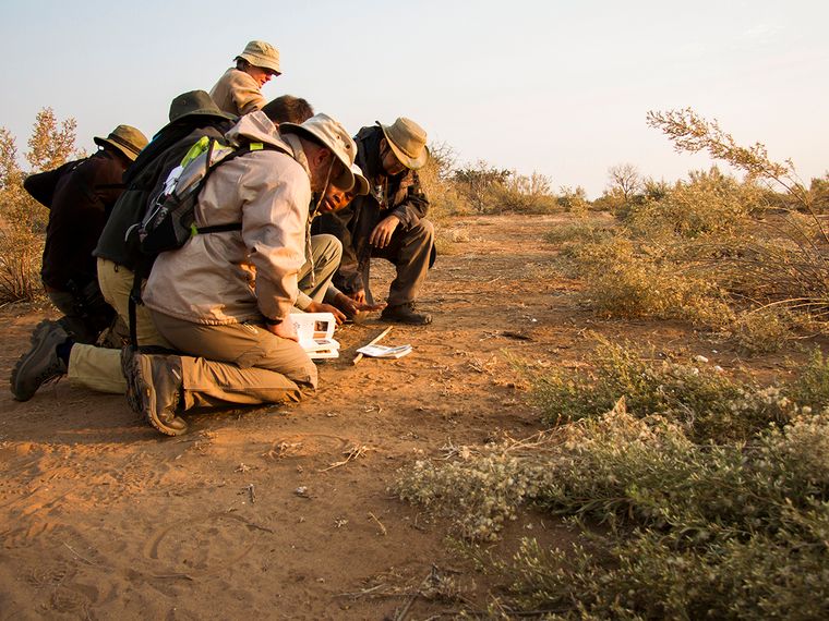 naturkurs-suedafrika-ecotracker-wildlife-monitoring-spurenlesen-natucate