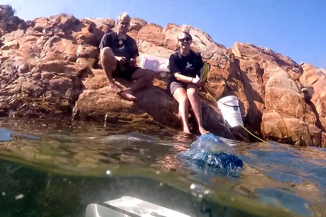 Interns in South Africa are collecting data during their marine conservation internship