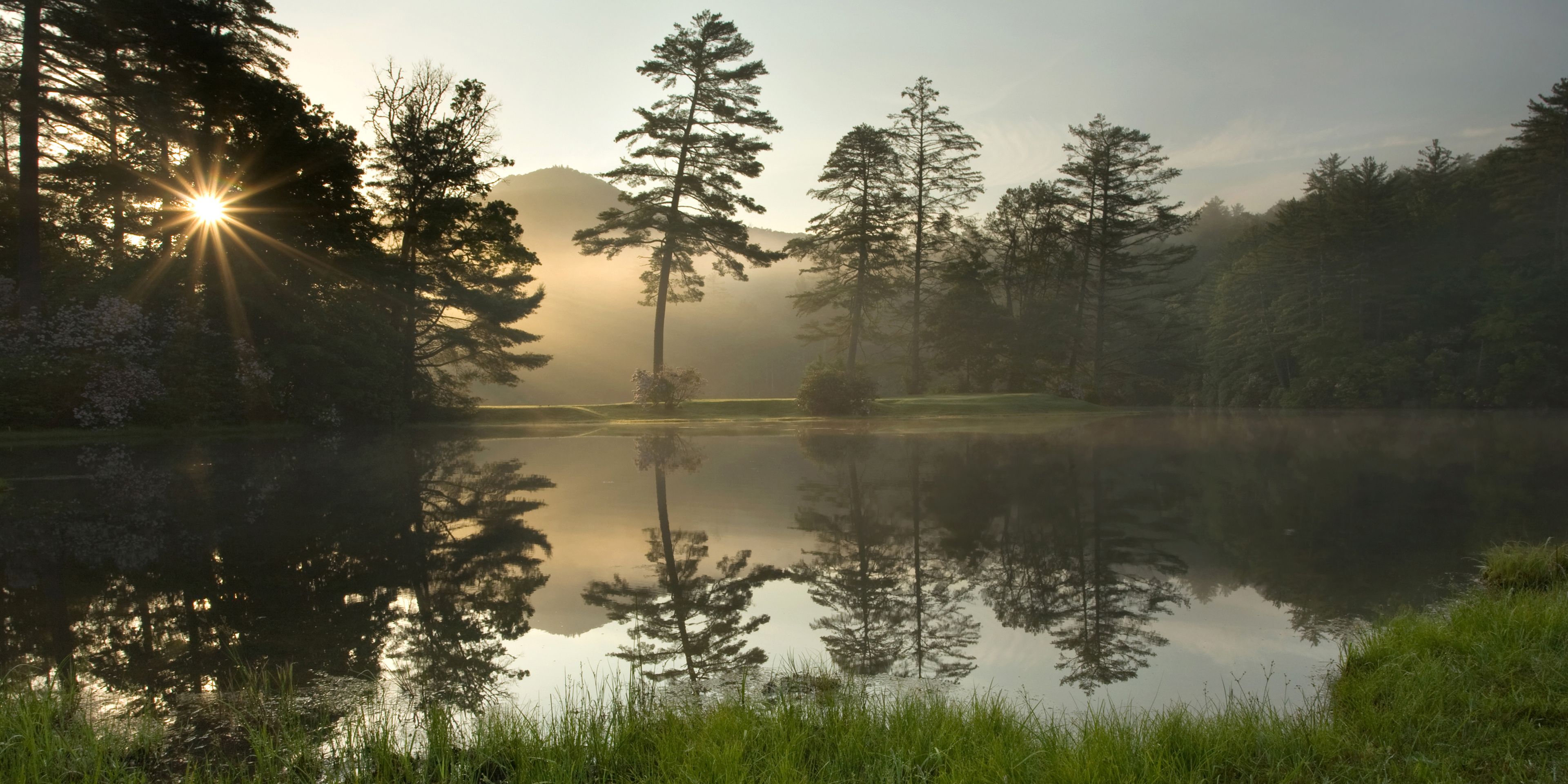 Volunteering in the USA: Looking over a lake in North Carolina, lined with trees