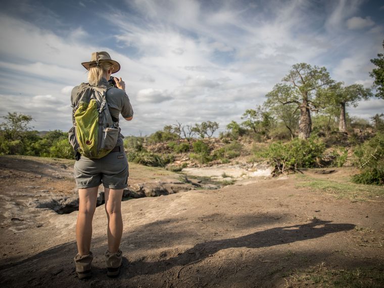 blog-sabbatjahr-freie-wirtschaft-wildnis-natucate