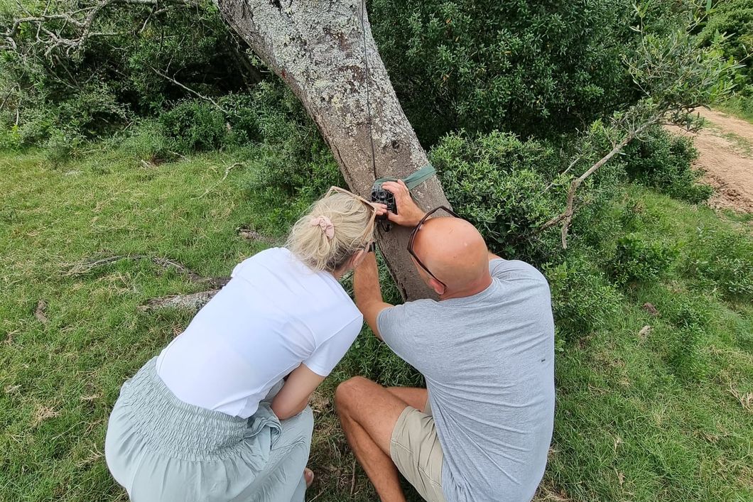 freiwilligenarbeit-artenschutz-mossel-bay-camera-traps