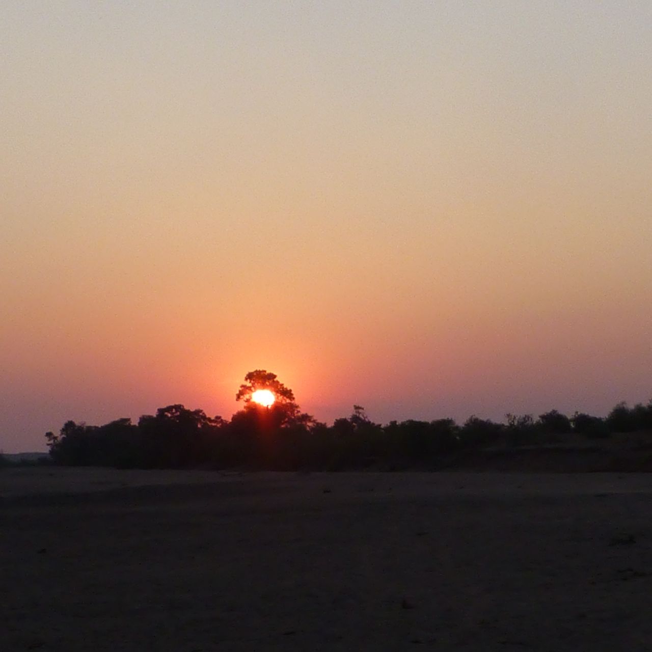 erfahrungsbericht-suedliches-afrika-kundenfotos-sabbatjahr-fgl1-wildnis-natucate