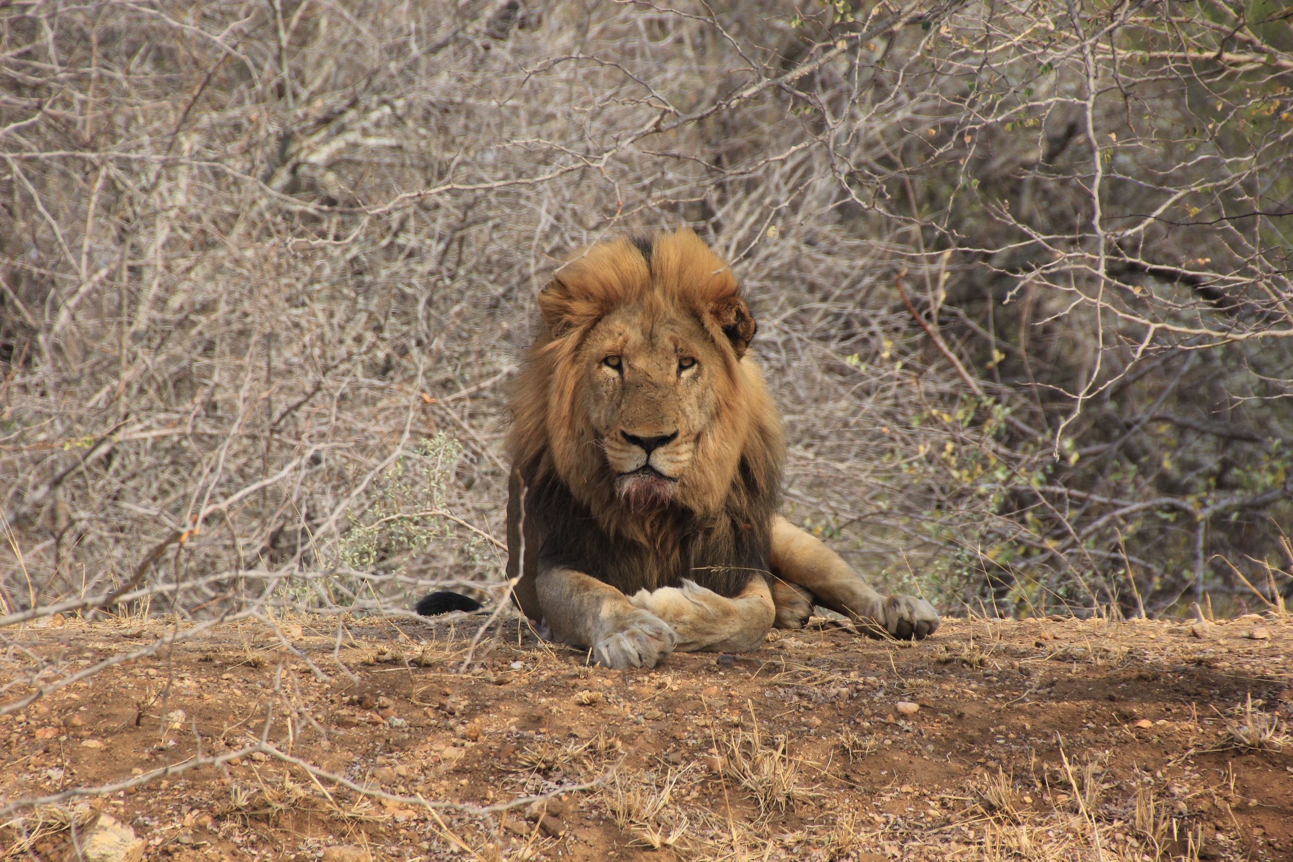 Review Field Guide Level 1 Kea ⋅ Natucate