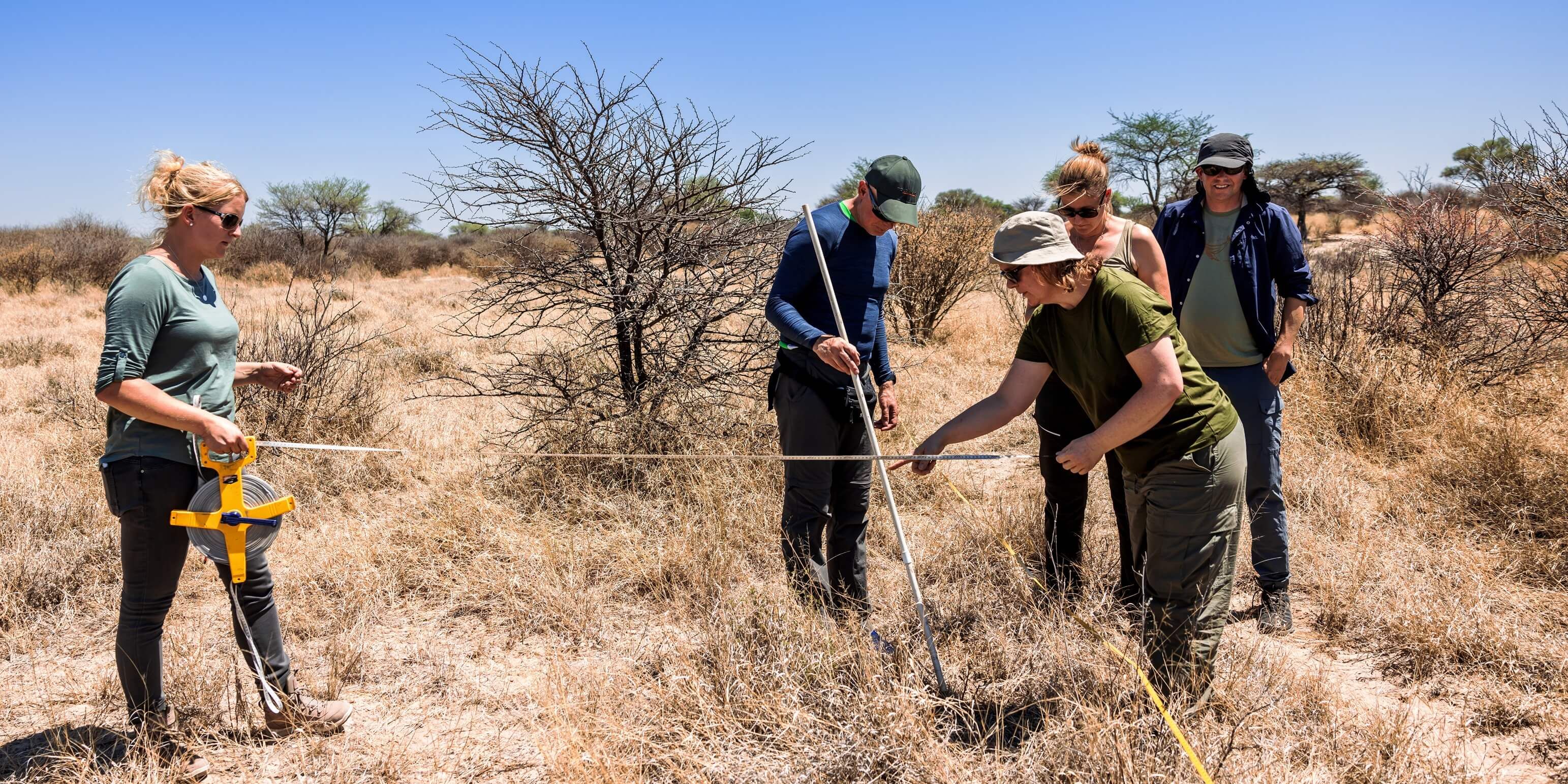 Wildlife conservation in South Africa - Citizen Science in the Kalahari  Desert ⋅ Natucate