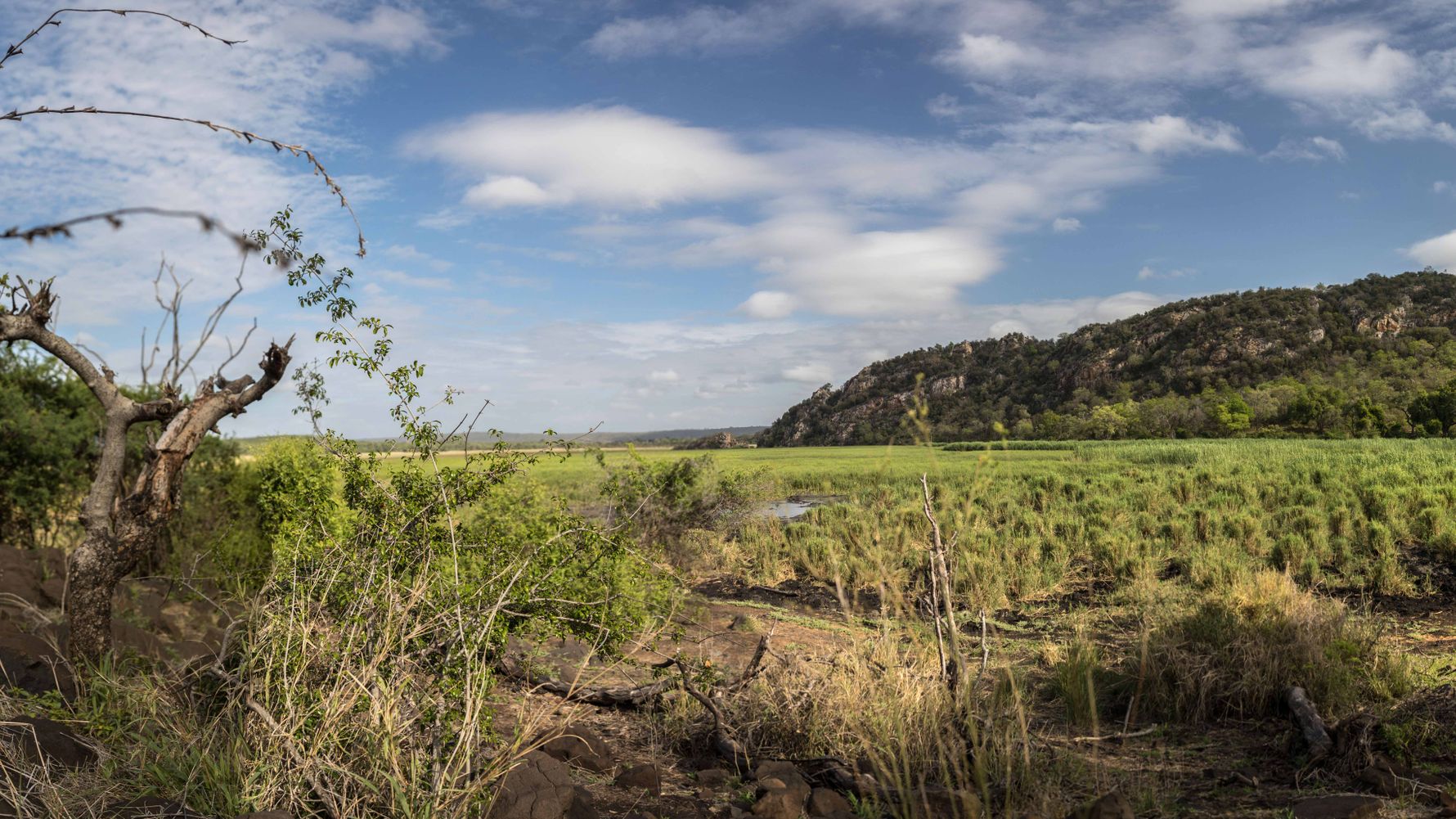 blog-ratgeber-suedafrika-kruger-nationalpark-savanne-natucate