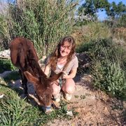 natucate-blog-erfahrungsbericht-nora-donkey
