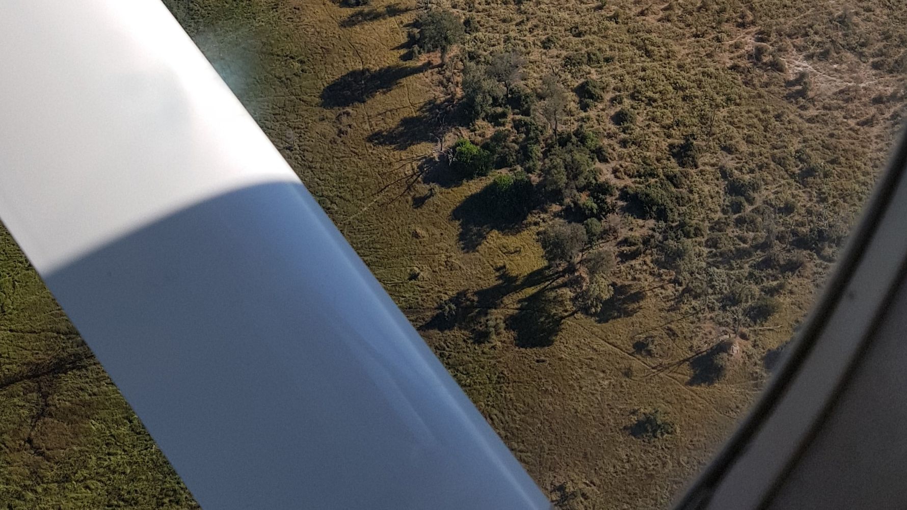Nachhaltiges Reisen: Blick aus einem Kleinflugzeug auf eine Savannenlandschaft