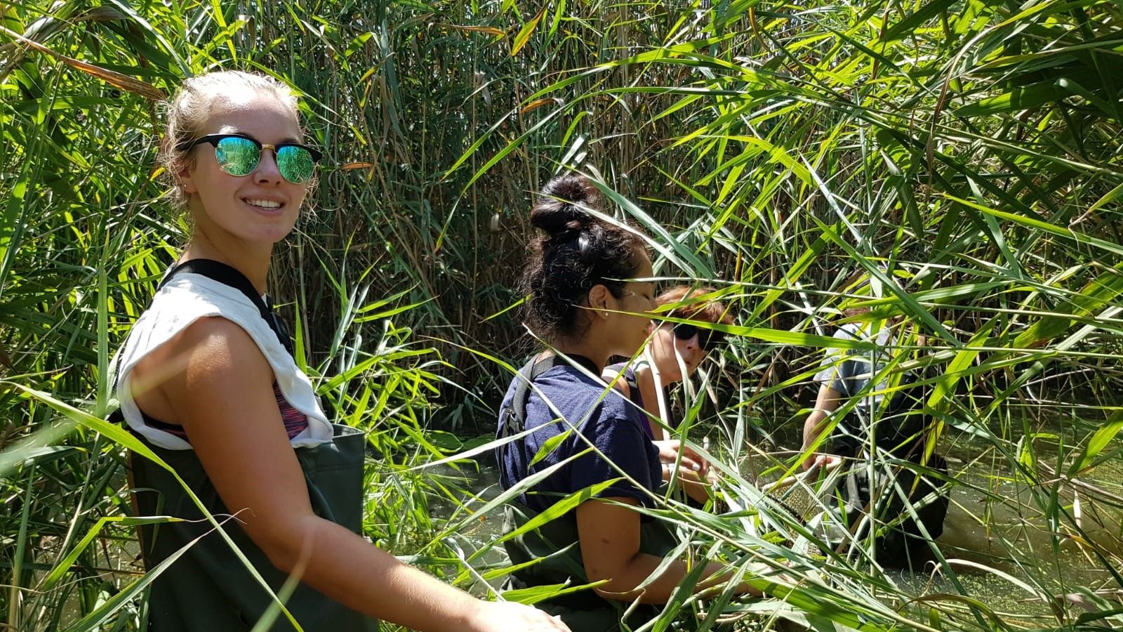 Volunteering in nature conservation: Volunteers doing environmental work near Valencia in Spain