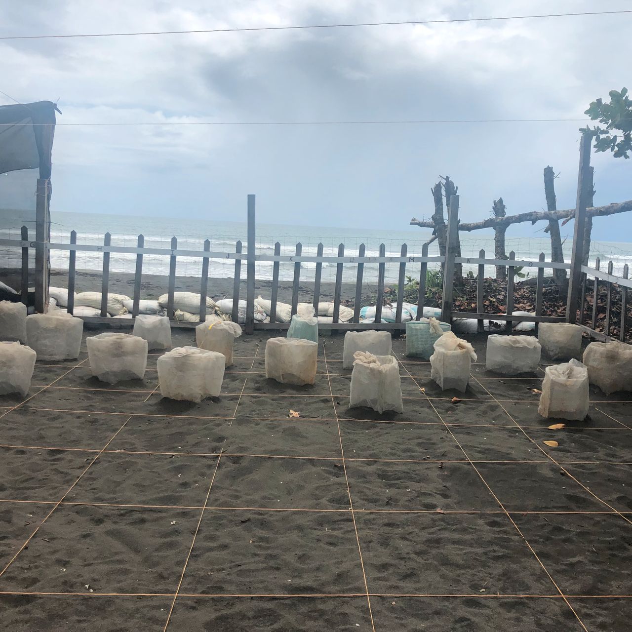 Die Hatchery (Brutstation), welche sich auf dem Strand befindet, wird tags&uuml;ber von den Freiwilligen bewacht.
