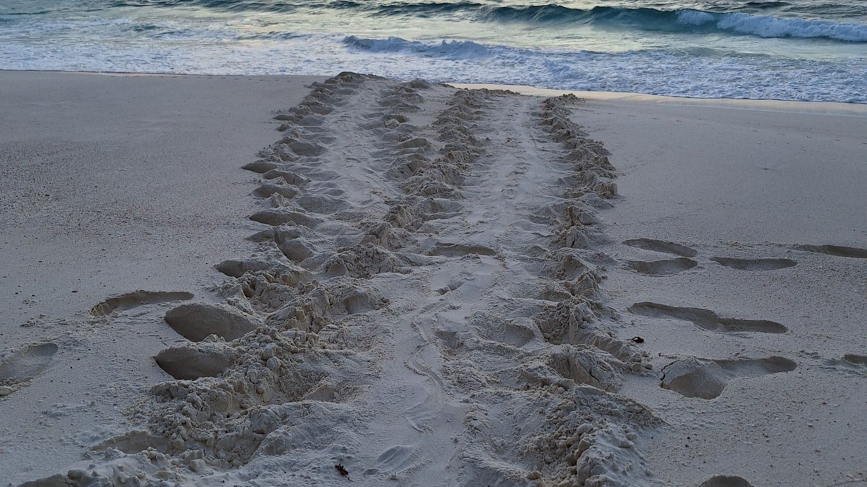 natucate-blog-review-seychelles-north-island-lydia-beach-sunset-footsteps