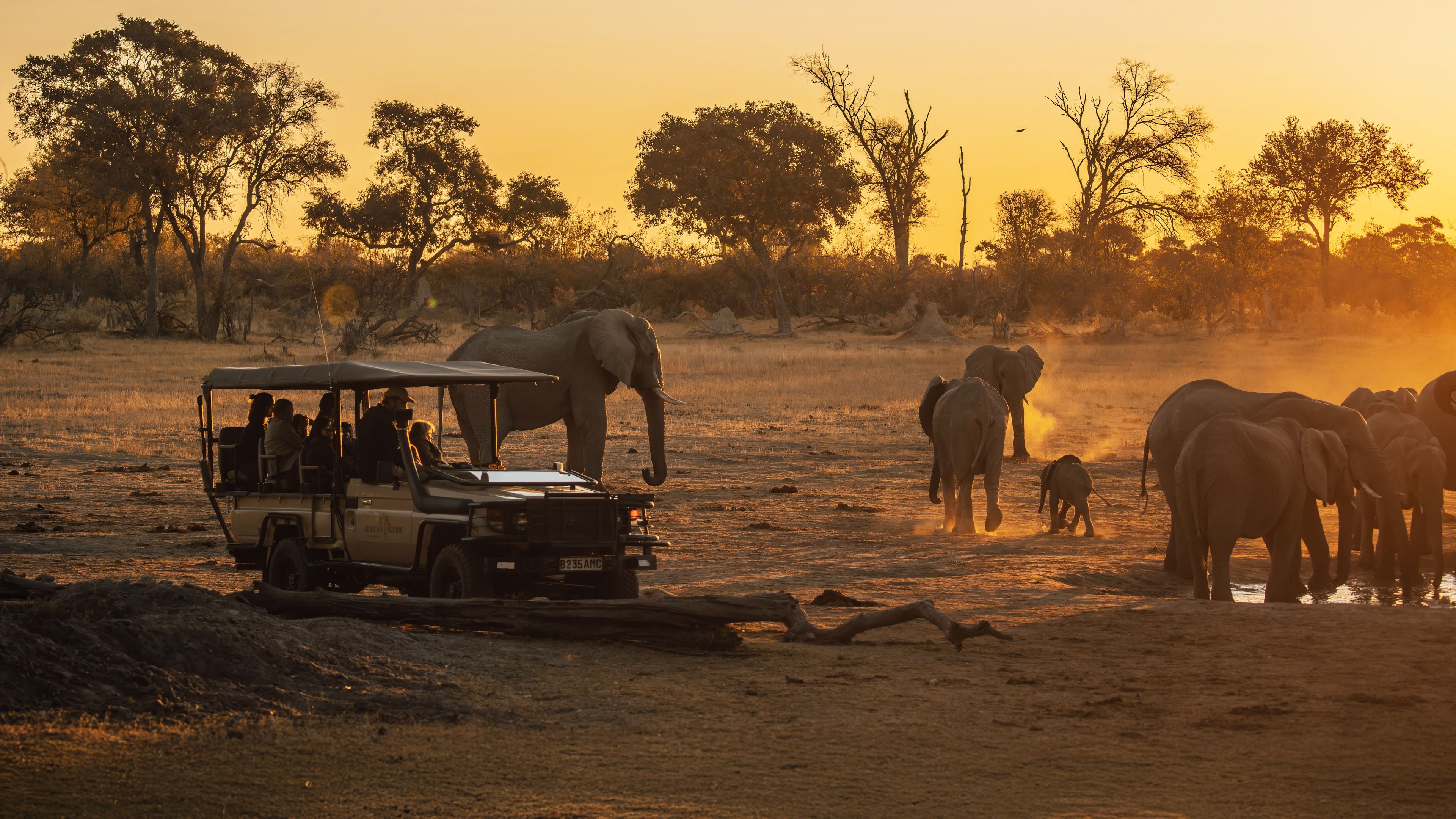 Game Drive im Okavango Delta mit Elefanten