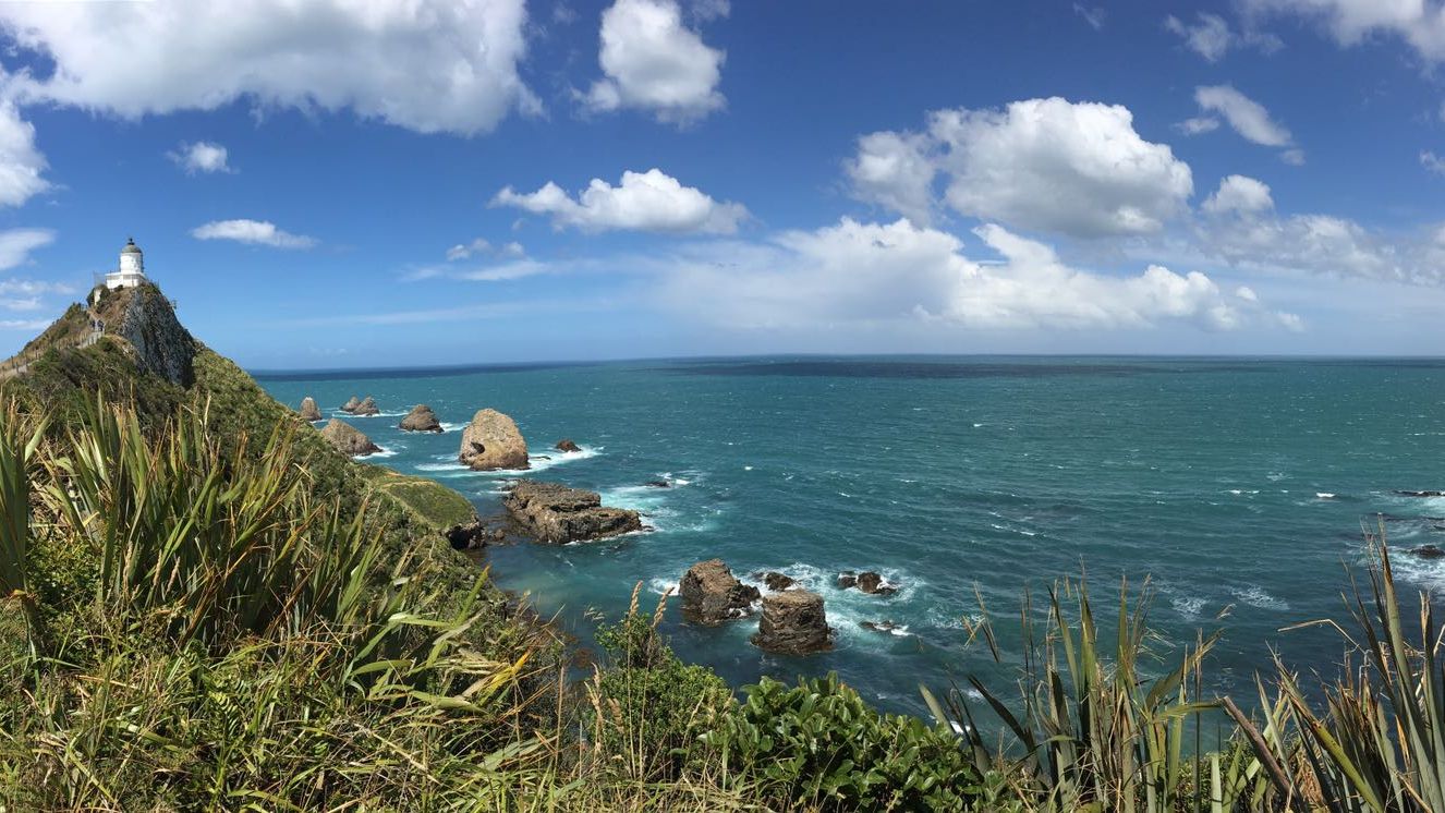Naturschutz: Der Leuchtturm am Nugget Point in Neuseeland ueberragt die Kueste