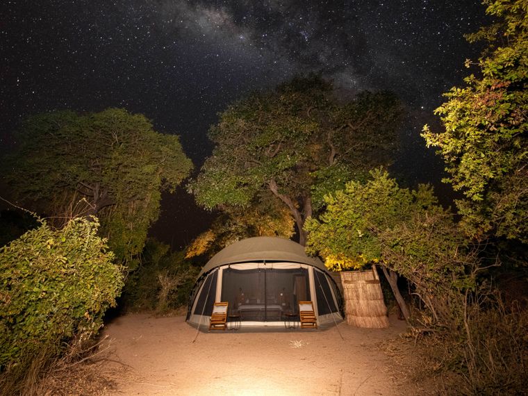 natucate-blog-kokoko-camp-nightsky