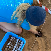 erfahrungsberichte-freiwilligendienst-griechenland-milena-schildkroeten-natucate