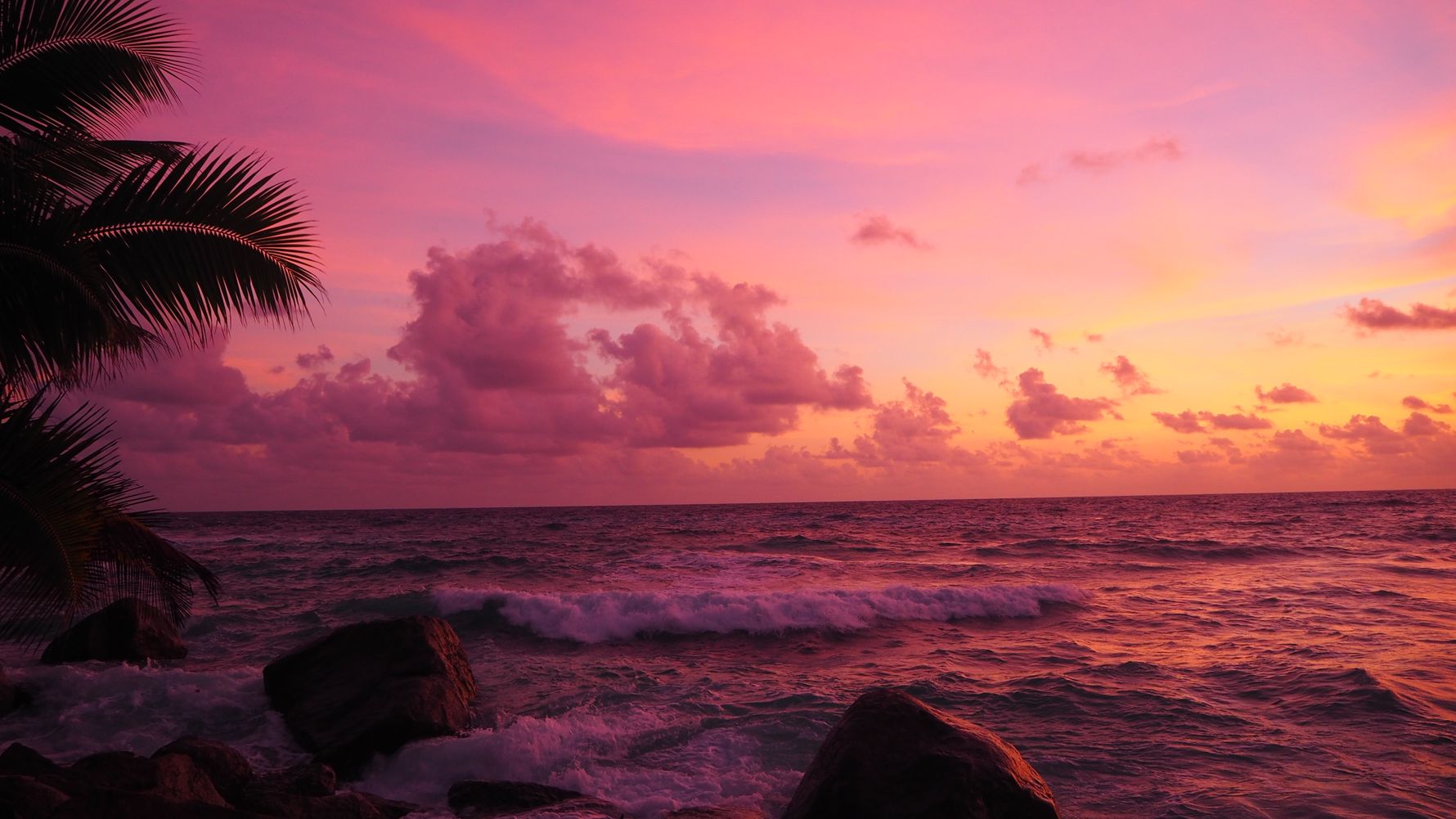 Naturguideausbildung: Kueste in Sonnenlicht getaucht