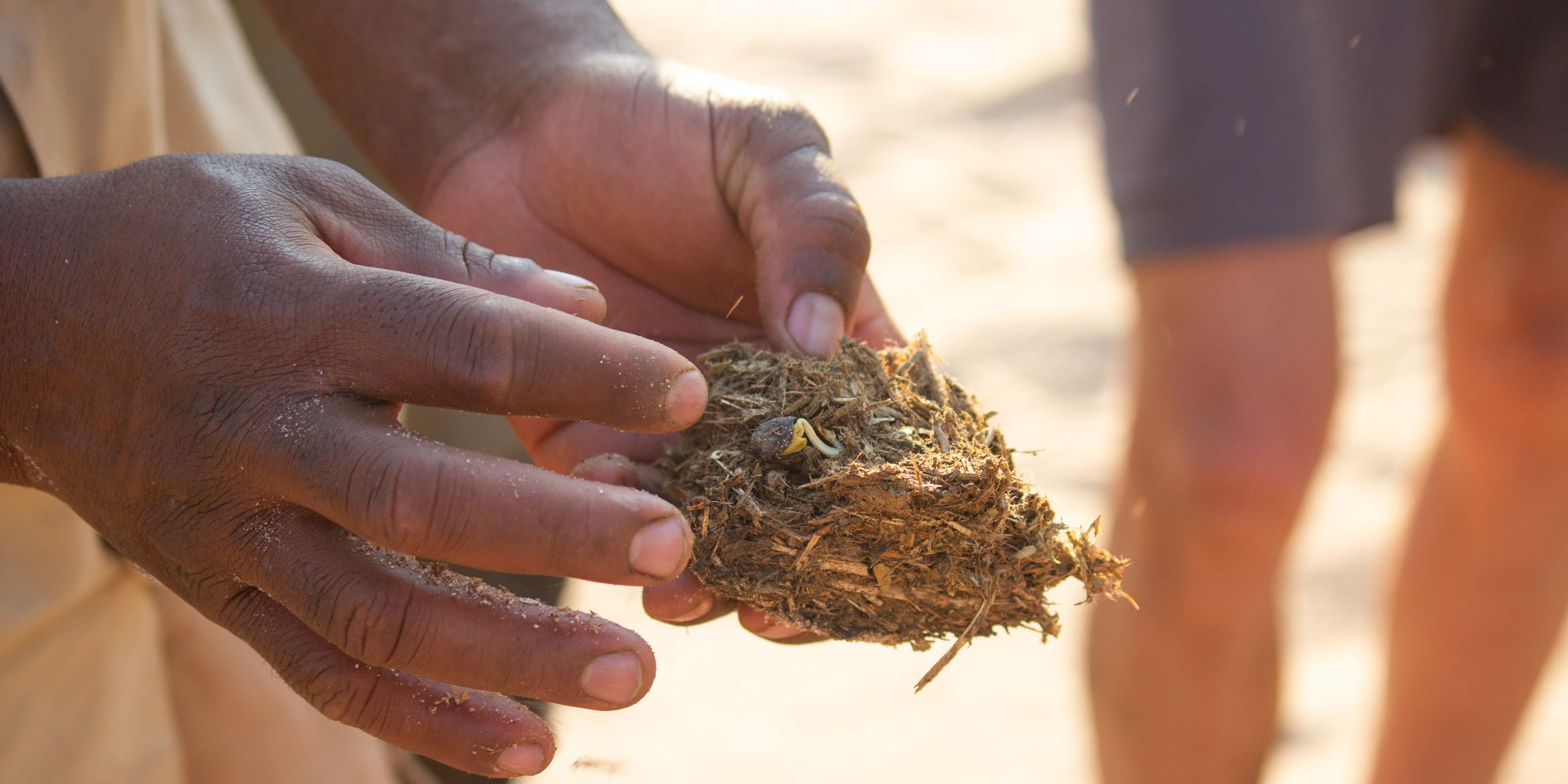 natucate-pwe-damaraland-elephant-dung