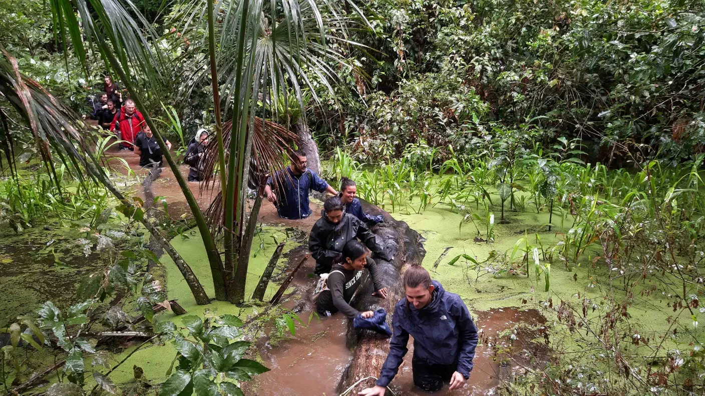 Peru Rainforest