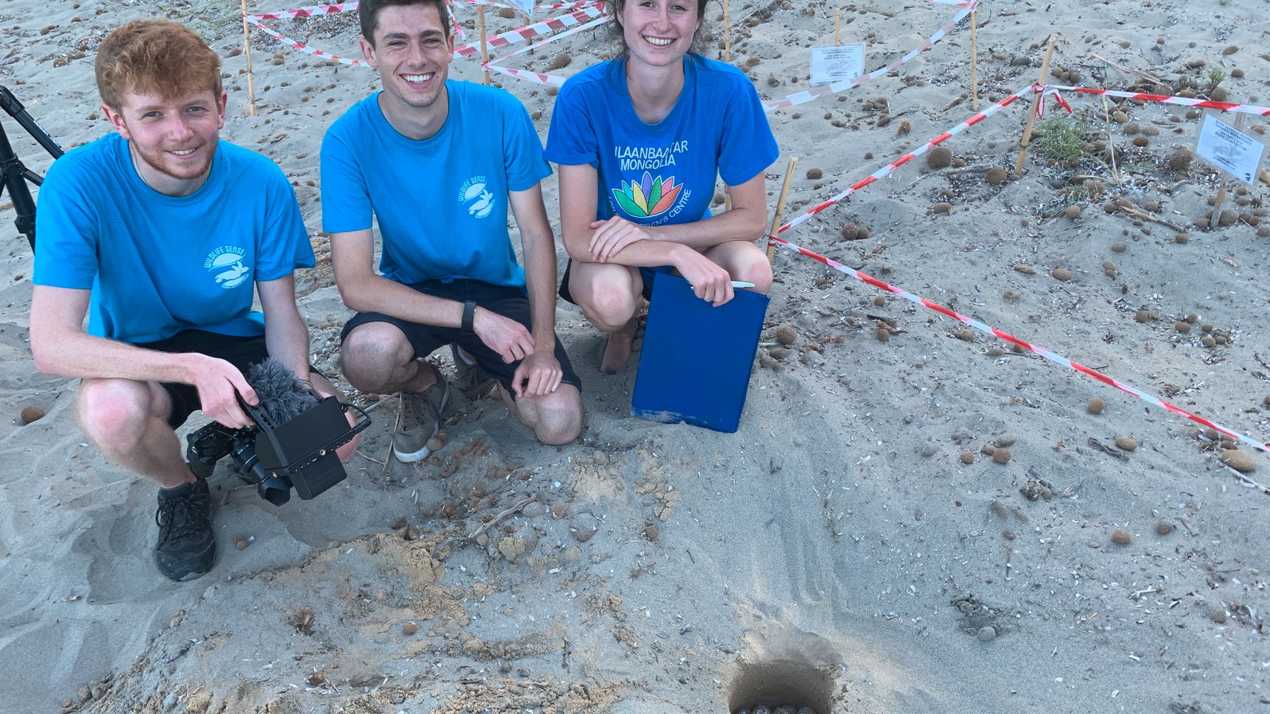 natucate-landingpage-citizen-science-greece-turtle-beach