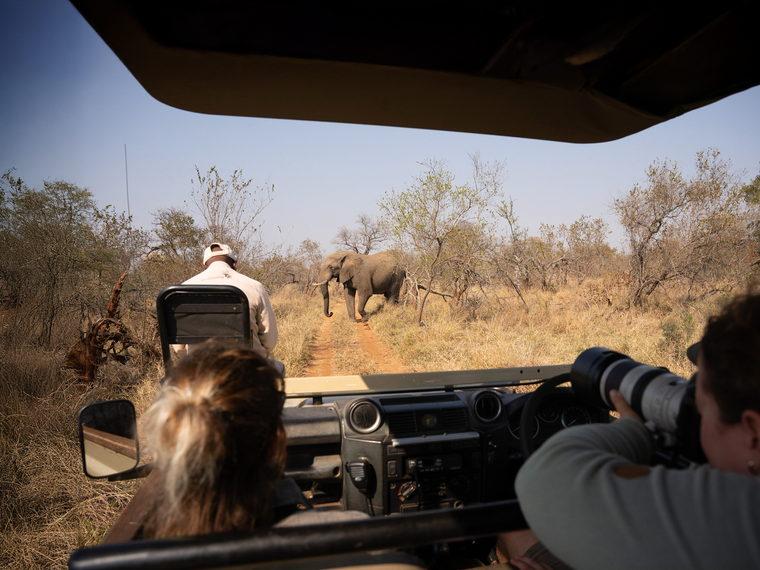 natucate-guide-course-south-africa-et-svenja-game-drive-ecoquest