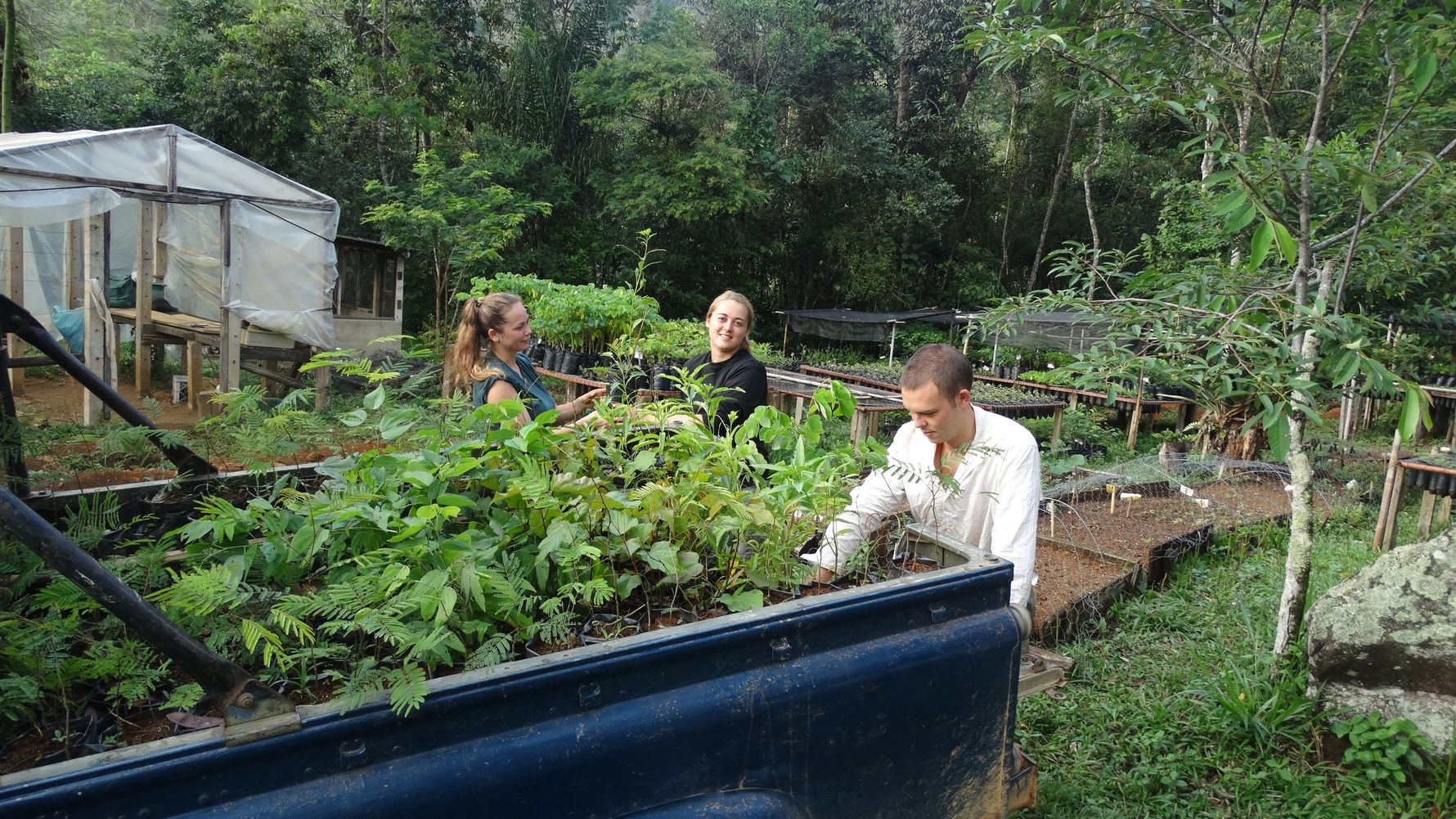 natucate-landingpage-citizen-science-brasil-loading-seedlings